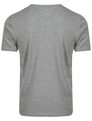 American Spirit Print T-Shirt in Light Grey  - South Shore