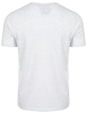Surfing Dream Print T-Shirt in Ice Grey  - South Shore