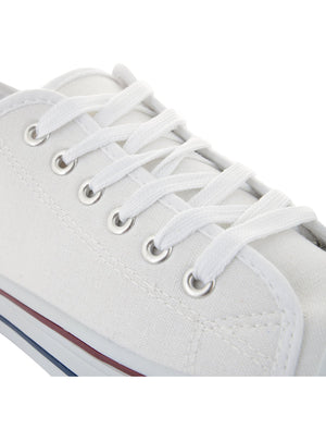 Mens Taylor Low Top Lace Up Canvas Trainers in White