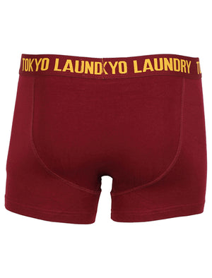 Mens Tokyo Laundry Gabriel boxer shorts ( 2 Pack) in Oxblood & Navy