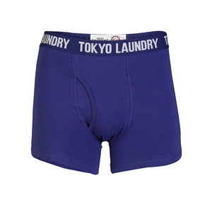Mens Tokyo Laundry Harper (2 Pack) Boxer Shorts Violet Blue & Paprika