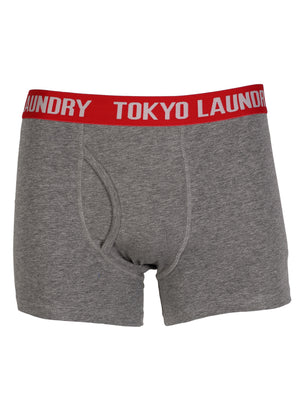 Bobbie (2 Pack) Striped Boxer Shorts Set in Mid Grey Marl / Tokyo Red - Tokyo Laundry
