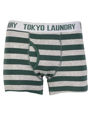 Tokyo Laundry Lannister boxer shorts