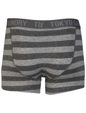 Otterlake (2 Pack) Boxer Shorts Set in Tokyo Red / Lt Grey Mar - Tokyo Laundry