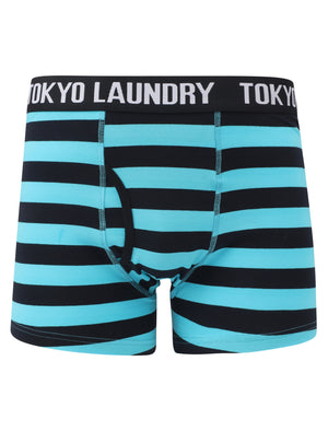 Tendring (2 Pack) Striped Boxer Shorts Set in Dark Navy / Clear Sky - Tokyo Laundry