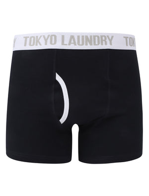Tendring (2 Pack) Striped Boxer Shorts Set in Dark Navy / Clear Sky - Tokyo Laundry