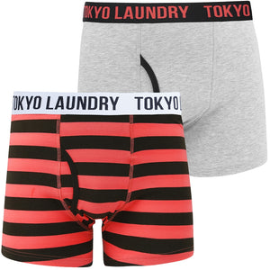 Tendring (2 Pack) Striped Boxer Shorts Set in Light Grey Marl / Pink - Tokyo Laundry