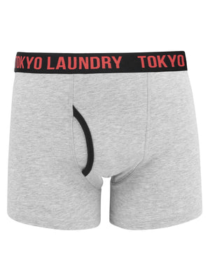Tendring (2 Pack) Striped Boxer Shorts Set in Light Grey Marl / Pink - Tokyo Laundry