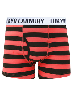 Tendring (2 Pack) Striped Boxer Shorts Set in Light Grey Marl / Pink - Tokyo Laundry