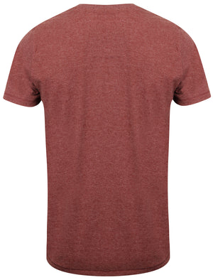 Essential V-Neck T-shirt in Bordeaux Marl - Tokyo Laundry