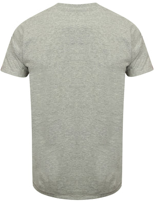 Mens V-Neck T-Shirt in Light Grey Marl - Tokyo Laundry