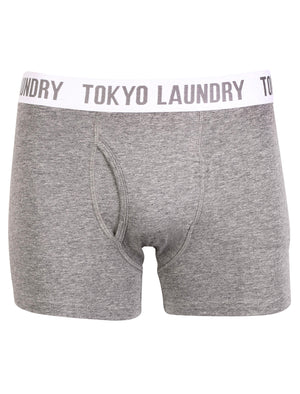 Adahy ( 2 Pack) Boxer Shorts Set in Mid Grey Marl / Oxblood  - Tokyo Laundry