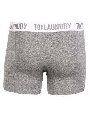 Adahy ( 2 Pack) Boxer Shorts Set in Mid Grey Marl / Oxblood  - Tokyo Laundry