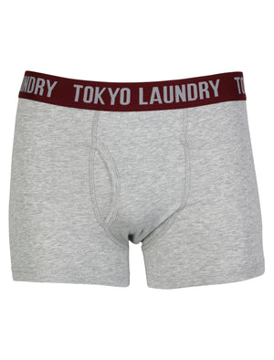 Adahy (2 Pack)  Boxer Shorts Set in Light Grey Marl / Eclipse Blue - Tokyo Laundry