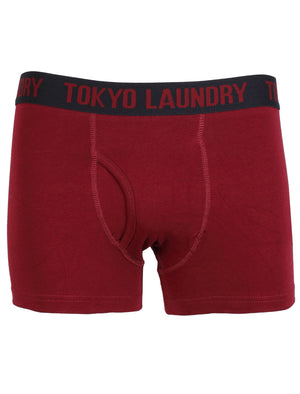 Adahy ( 2 Pack) Boxer Shorts Set in Mid Grey Marl / Oxblood  - Tokyo Laundry