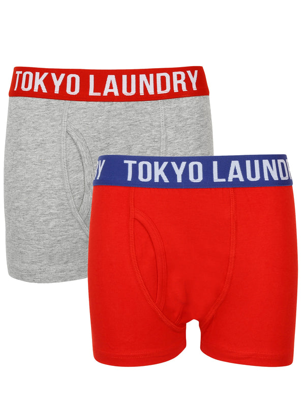 Boys Alton (2 Pack) Boxer Shorts Set In Light Grey Marl / Tokyo Red - Tokyo Laundry Kids