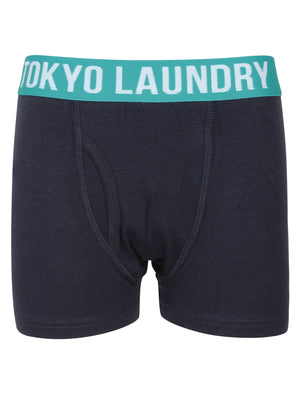 Boys Alton (2 Pack) Boxer Shorts Set In Virdian Green / Navy - Tokyo Laundry Kids