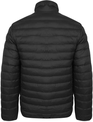 Bakman Funnel Neck Quilted Puffer Jacket in Black - Tokyo Laundry