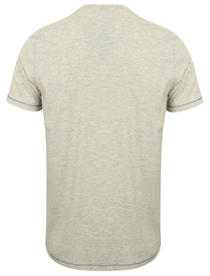 Bailey Springs Motif Cotton T-Shirt in Oatgrey Marl - Tokyo Laundry