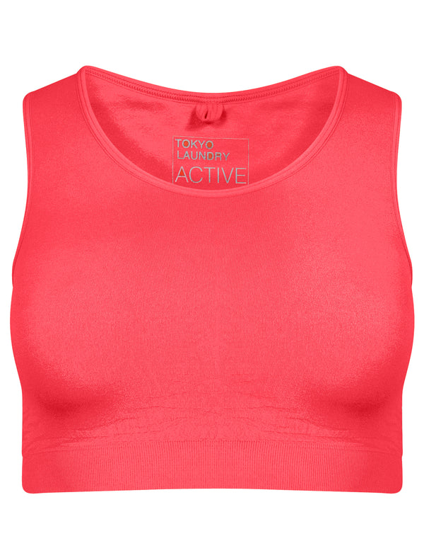Baretta Zebra Stripe Panel Sports Bra Top in Rouge Red - Tokyo Laundry Active