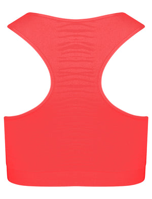 Baretta Zebra Stripe Panel Sports Bra Top in Rouge Red - Tokyo Laundry Active