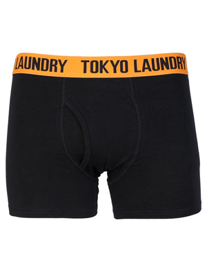 Berriman (2 Pack)  Boxer Shorts Set in Navy / Blue - Tokyo Laundry