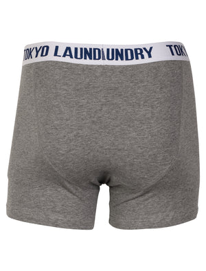 Bond ( 2 Pack) Boxer Shorts Set in White /  Grey Marl - Tokyo Laundry