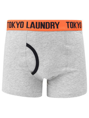 Brightlingsea 2 (2 Pack) Striped Boxer Shorts Set In Emberglow Orange / Grey Marl - Tokyo Laundry
