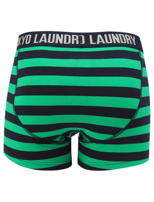 Brightlingsea 2 (2 Pack) Striped Boxer Shorts Set In Simply Green / Grey Marl - Tokyo Laundry