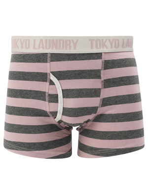 Brightlingsea (2 Pack) Striped Boxer Shorts Set in Dusty Blue / Mauve - Tokyo Laundry
