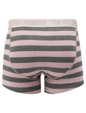 Brightlingsea (2 Pack) Striped Boxer Shorts Set in Dusty Blue / Mauve - Tokyo Laundry