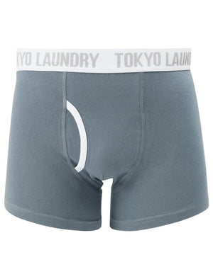 Brightlingsea (2 Pack) Striped Boxer Shorts Set in Dusty Blue / Mauve - Tokyo Laundry