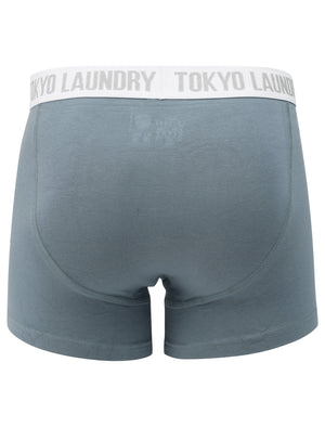 Brightlingsea (2 Pack) Striped Boxer Shorts Set in Dusty Blue / Mauve - Tokyo Laundry