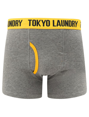 Brightlingsea (2 Pack) Striped Boxer Shorts Set in Mid Grey Marl / Yellow - Tokyo Laundry
