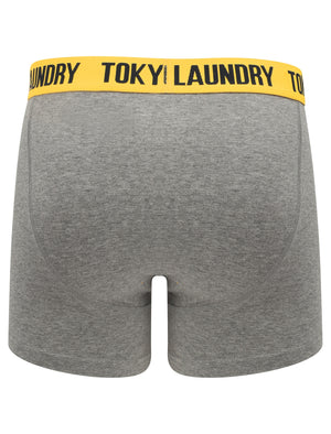 Brightlingsea (2 Pack) Striped Boxer Shorts Set in Mid Grey Marl / Yellow - Tokyo Laundry