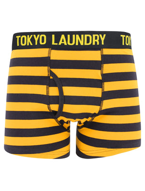 Brightlingsea (2 Pack) Striped Boxer Shorts Set in Mid Grey Marl / Yellow - Tokyo Laundry