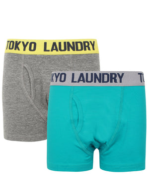 Boys Brights (2 Pack) Boxer Shorts Set In Mid Grey Marl / Virdian Green - Tokyo Laundry Kids