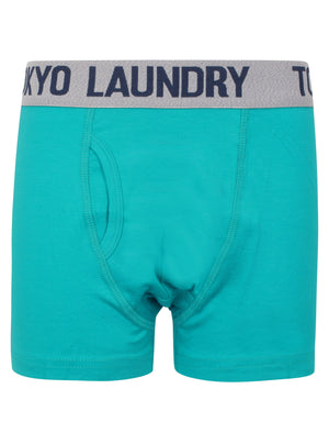Boys Brights (2 Pack) Boxer Shorts Set In Mid Grey Marl / Virdian Green - Tokyo Laundry Kids