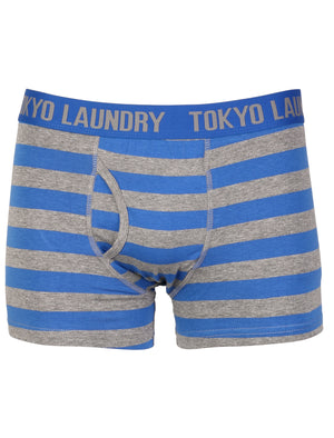 Tokyo Laundry Burbank blue & grey boxers