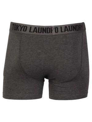 Tokyo Laundry Burbank black & grey boxers