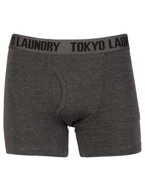 Tokyo Laundry Burbank black & grey boxers