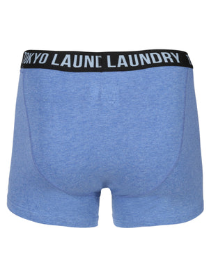 Cairns Boxer Shorts in Mid Grey Marl / Cornflower Blue - Tokyo Laundry