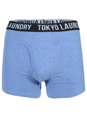 Cairns Boxer Shorts in Mid Grey Marl / Cornflower Blue - Tokyo Laundry