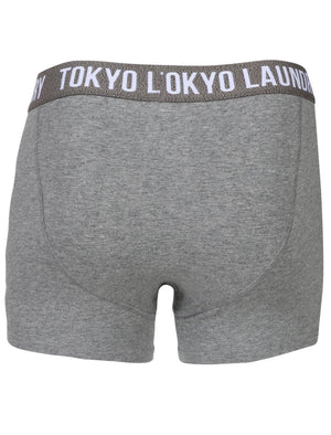 Cairns Boxer Shorts in Mid Grey Marl / Cornflower Blue - Tokyo Laundry