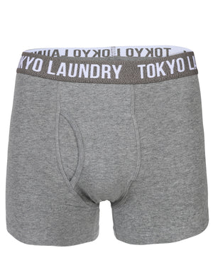Cairns Boxer Shorts in Mid Grey Marl / Cornflower Blue - Tokyo Laundry