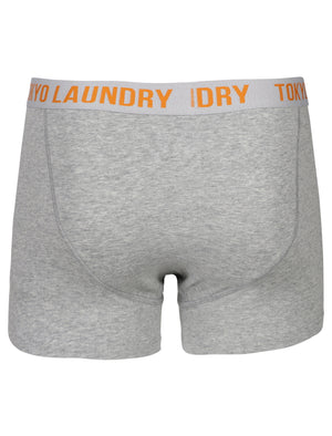Cairns Boxer Shorts Set in Light Grey Marl / Optic White - Tokyo Laundry