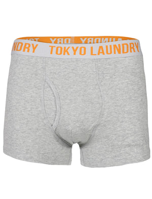 Cairns Boxer Shorts Set in Light Grey Marl / Optic White - Tokyo Laundry