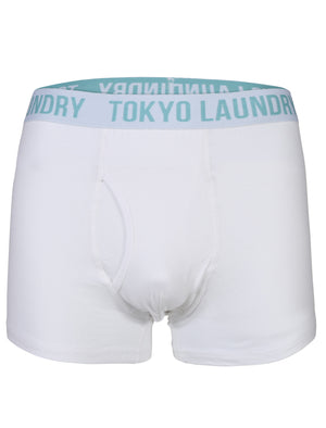 Cairns Boxer Shorts Set in Light Grey Marl / Optic White - Tokyo Laundry