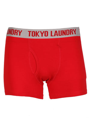 Camden (2 Pack) Boxer Shorts Set in Tokyo Red / Light Grey Marl - Tokyo Laundry