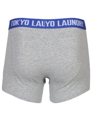 Chandos Two Tone Boxer Shorts Set in Simply Green / Deep Blue - Tokyo Laundry